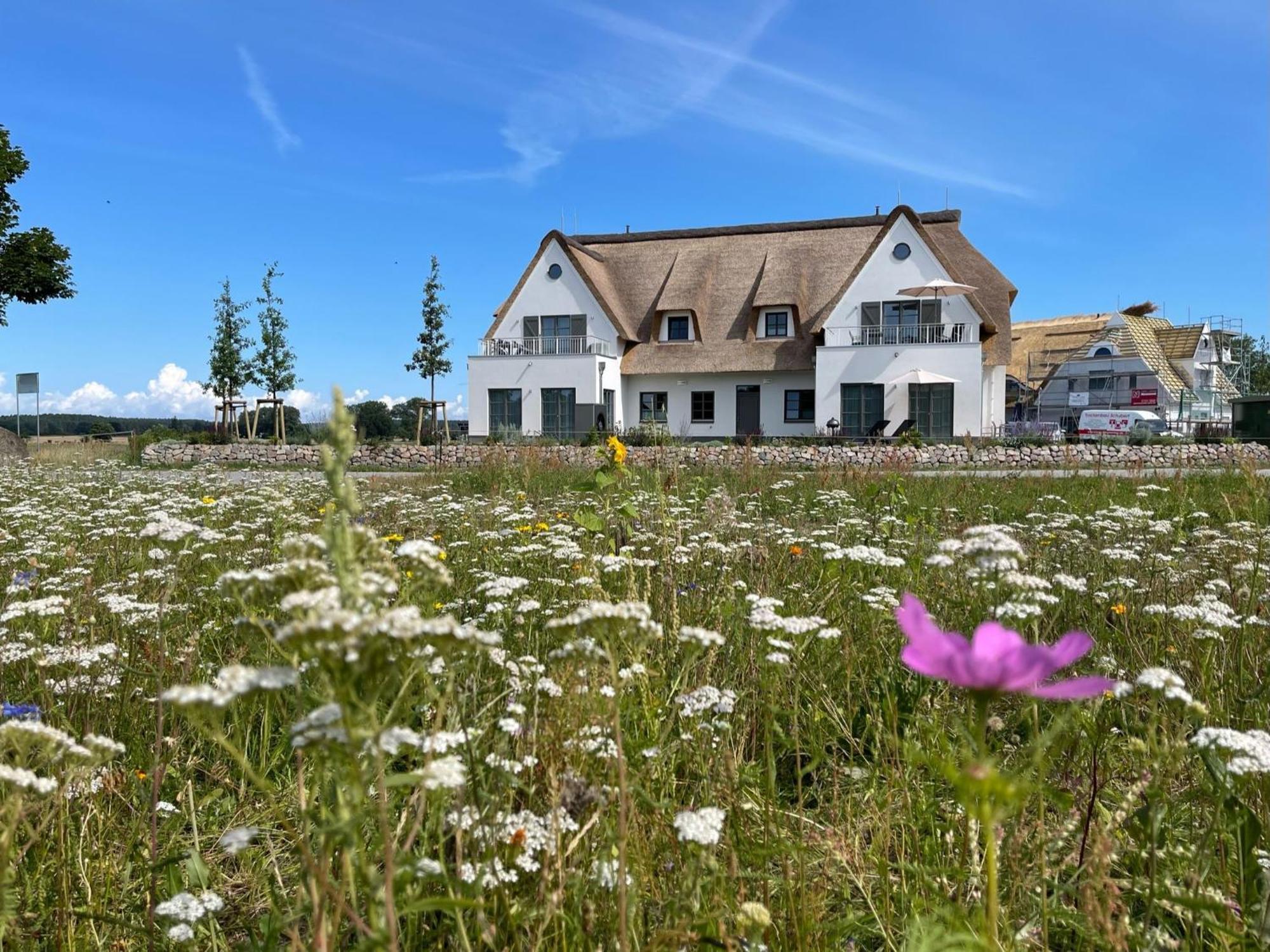 Inseldomizil Stolpe - Urlaub Unter Reet Auf Usedom Villa Stolpe auf Usedom Exterior foto